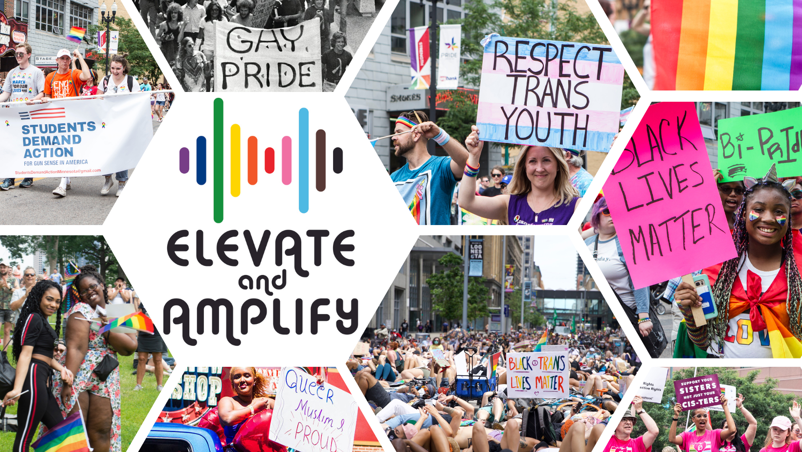 TWIN CITIES PRIDE FESTIVAL
