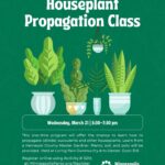 Houseplant Propagation Class at Loring Park