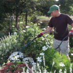 Garden at Loring Park!